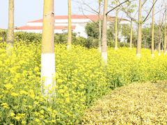 -五通灯塔公园