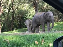 -北京野生动物园