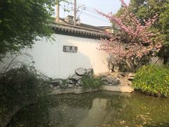 -常熟方塔园