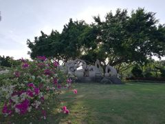 景点-白鹭洲公园