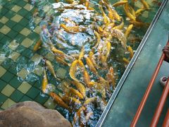 -大鹅岛绿色生态美食园