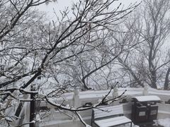 -妙峰山风景名胜区