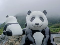 -卧龙中华大熊猫苑神树坪基地
