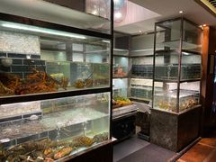 -甄御•海鲜新青岛菜(麦岛店)