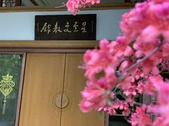 -星云文教馆
