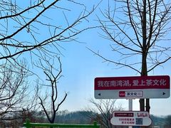 -南湾湖