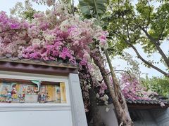 -深圳国际园林花卉博览园