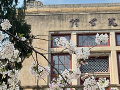 -武汉大学-樱园