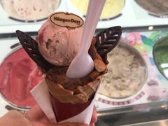 -哈根达斯(武汉天地店)