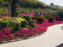 -威海华夏城景区