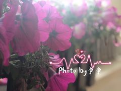 -锡师附小学(学前街校区)