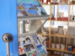 -Anne猫窝咖啡屋