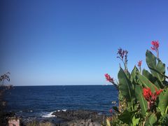 -龙头岩(Dragon Head Rock)