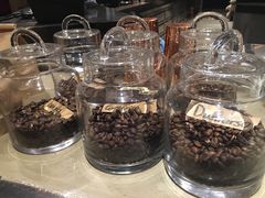 -MAAN  COFFEE(安达圣新天地店)