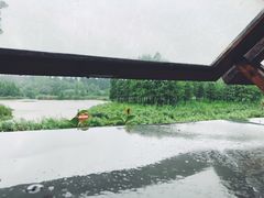 -东平国家森林公园