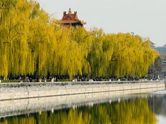 -四季民福烤鸭店(故宫店)