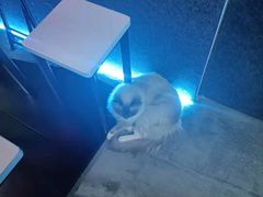 -零纪元VR体验馆·桌游(黄浦店)