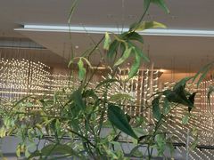 -扬州万怡酒店-中餐厅(文昌中路店)