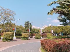 绿化-白沙门生态公园