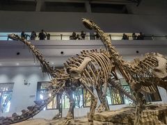 -自贡恐龙博物馆
