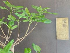 -木守西溪溪隐餐厅