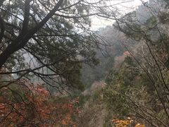 -北京上方山国家森林公园