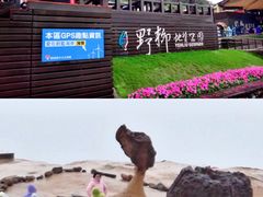 -台北101