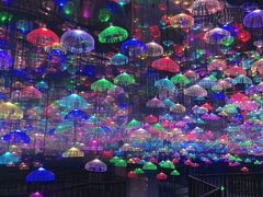 -无锡动物园·太湖欢乐园
