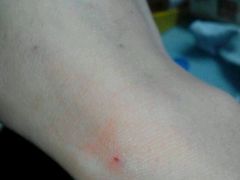 -东南大学附属中大医院(本部)