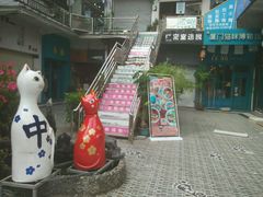 -猫咪博物馆(顶澳仔猫街店)