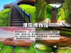-紫藤园·天目湖大鱼头(南山竹海店)