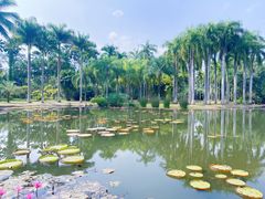 -中国科学院西双版纳热带植物园