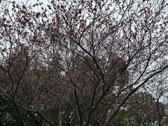 -茅家埠