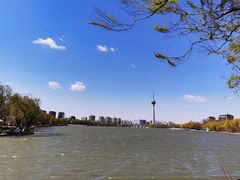 -大兴滨河森林公园