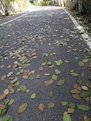 -佛灵湖水上乐园