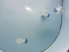 -常州海昌海洋探索馆