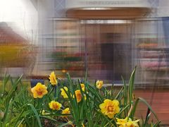 -lululemon(新天地店)