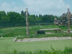 -上海野生动物园