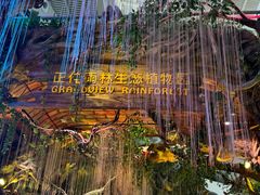 -正佳雨林生态植物园