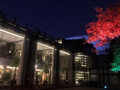 -唐廊烤鸭店(工体店)