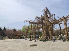 -石家庄市植物园