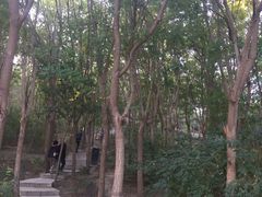 -南翠屏公园