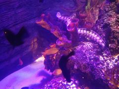 -沈阳海洋探索中心