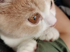 -美联众合动物医院·24h转诊中心