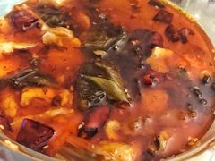 -小四川菜馆(托乐嘉店)