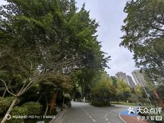 -龙头寺公园