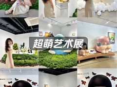 -辰熙ACX星海艺术中心