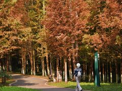 -桤木河湿地公园