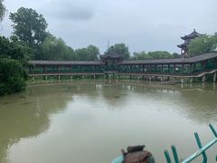 -中国扬子鳄村