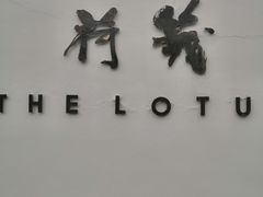 -几荷·恰似故人来(秀水广场店)